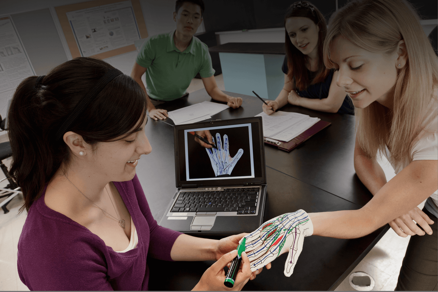 Learn Hand Anatomy | Anatomy Softwear – Anatomy Softwear International Inc.