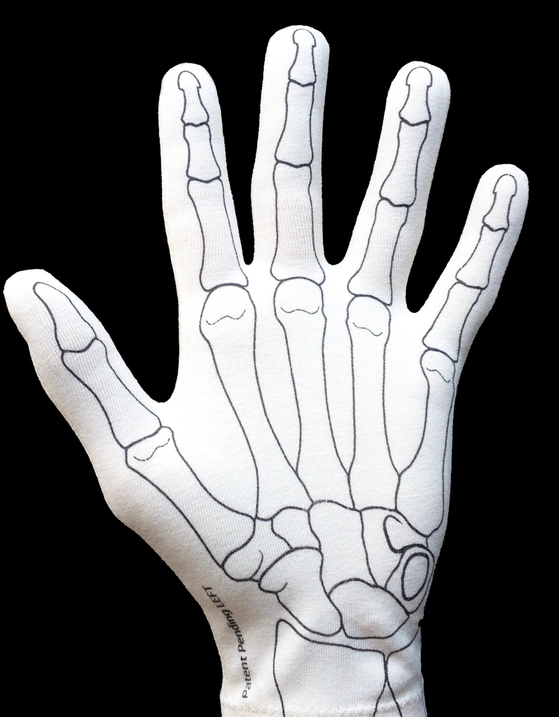 Anatomy Of The Left Hand