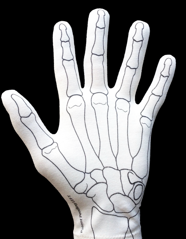 Anatomy Glove Learning System<br>Portuguese Videos<br>Vídeos em português