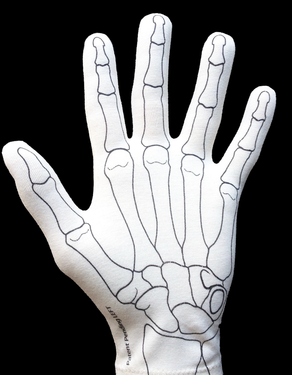 Blank anatomy glove before hand structures have been drawn on