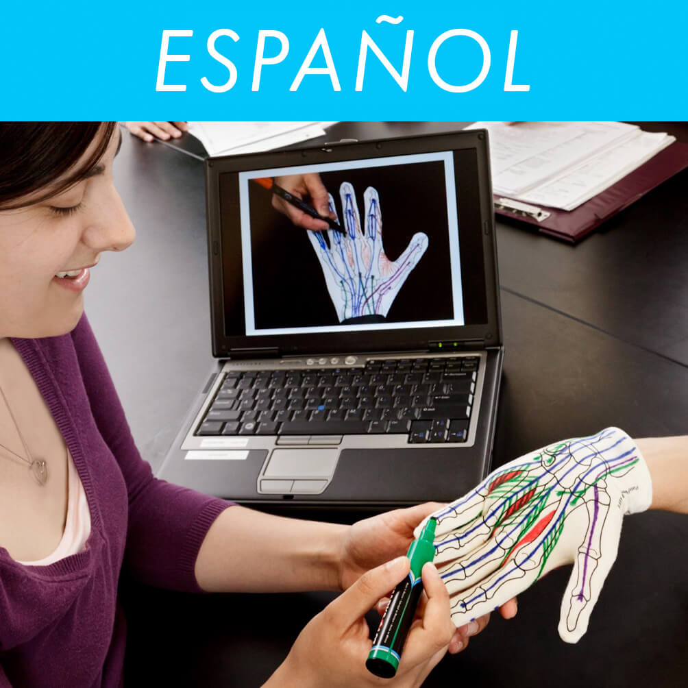 Anatomy Glove Learning System  <br> Spanish Videos<br> Videos en Español
