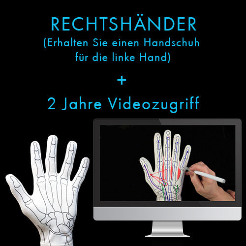 hands on handschuh Anatomy Glove Learning System | German Videos